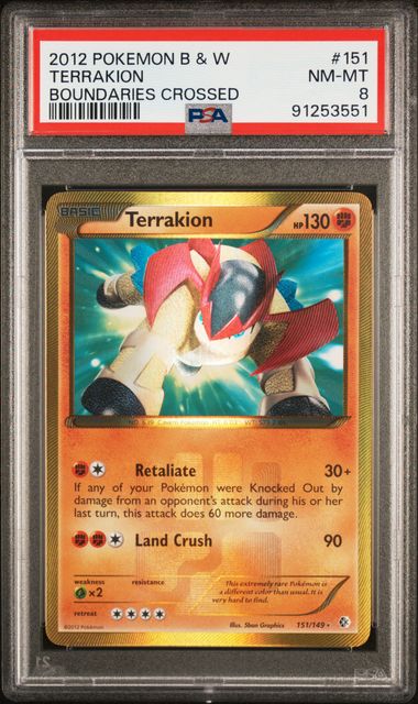 PSA 8 Terrakion Boundaries Crossed